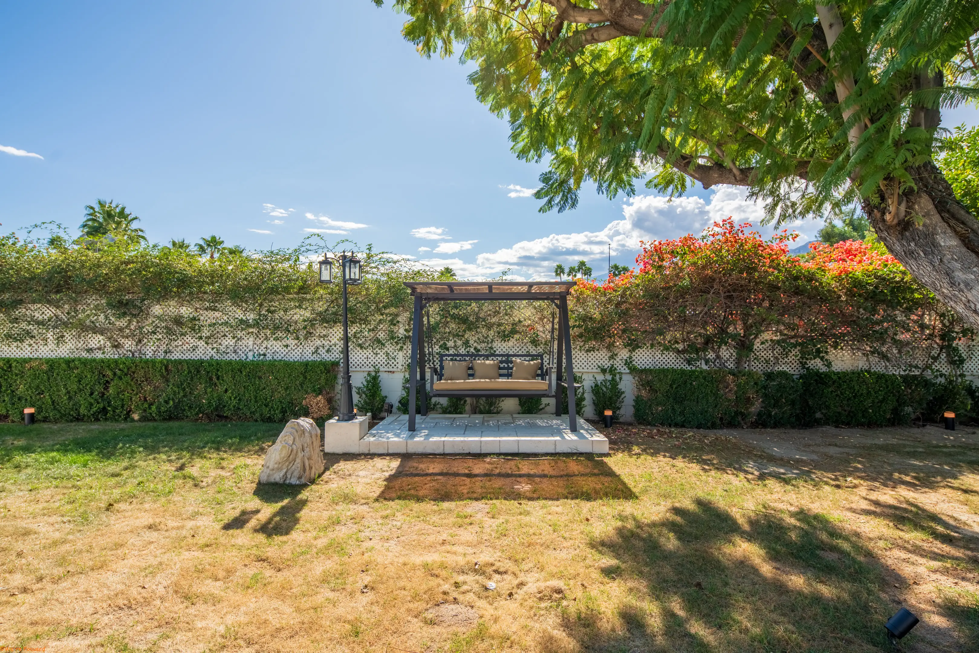 A hanging swing seat on the lawn beneath a broad tree.
