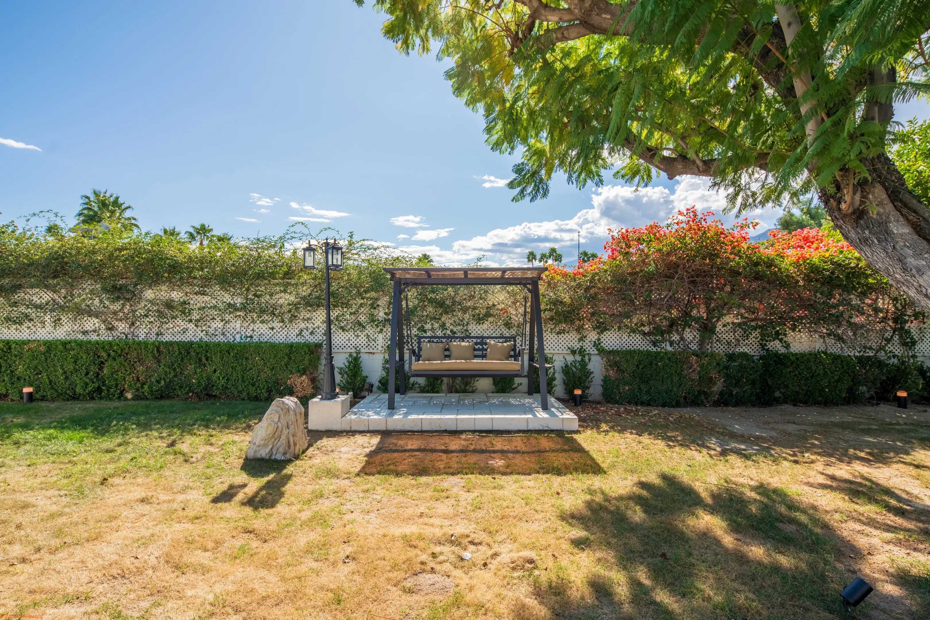 A hanging swing seat on the lawn beneath a broad tree.