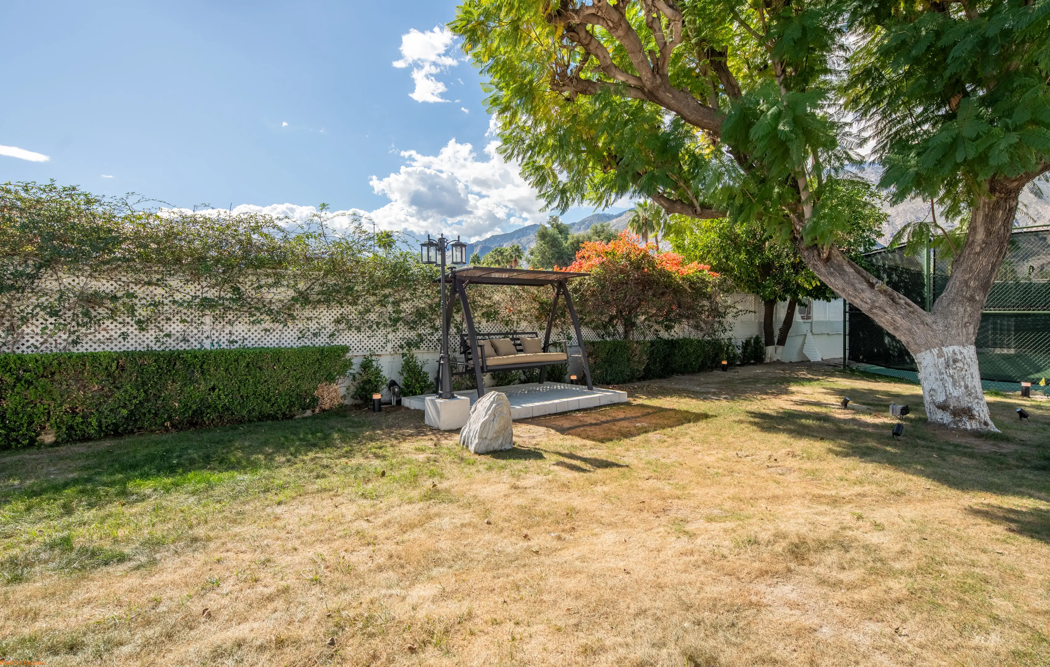 The lawn and a hedge under a bright sky.