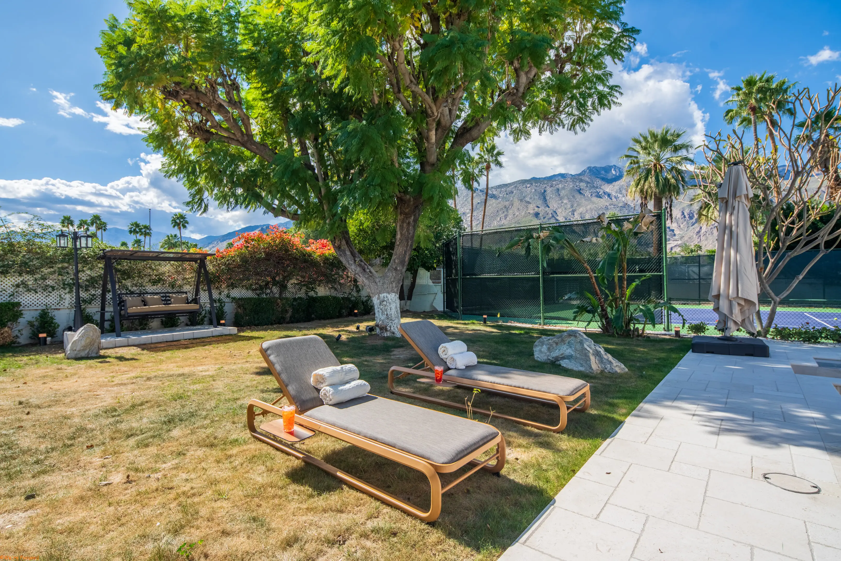 The lawn with loungers and a hanging swing under a mature tree, mountains behind.