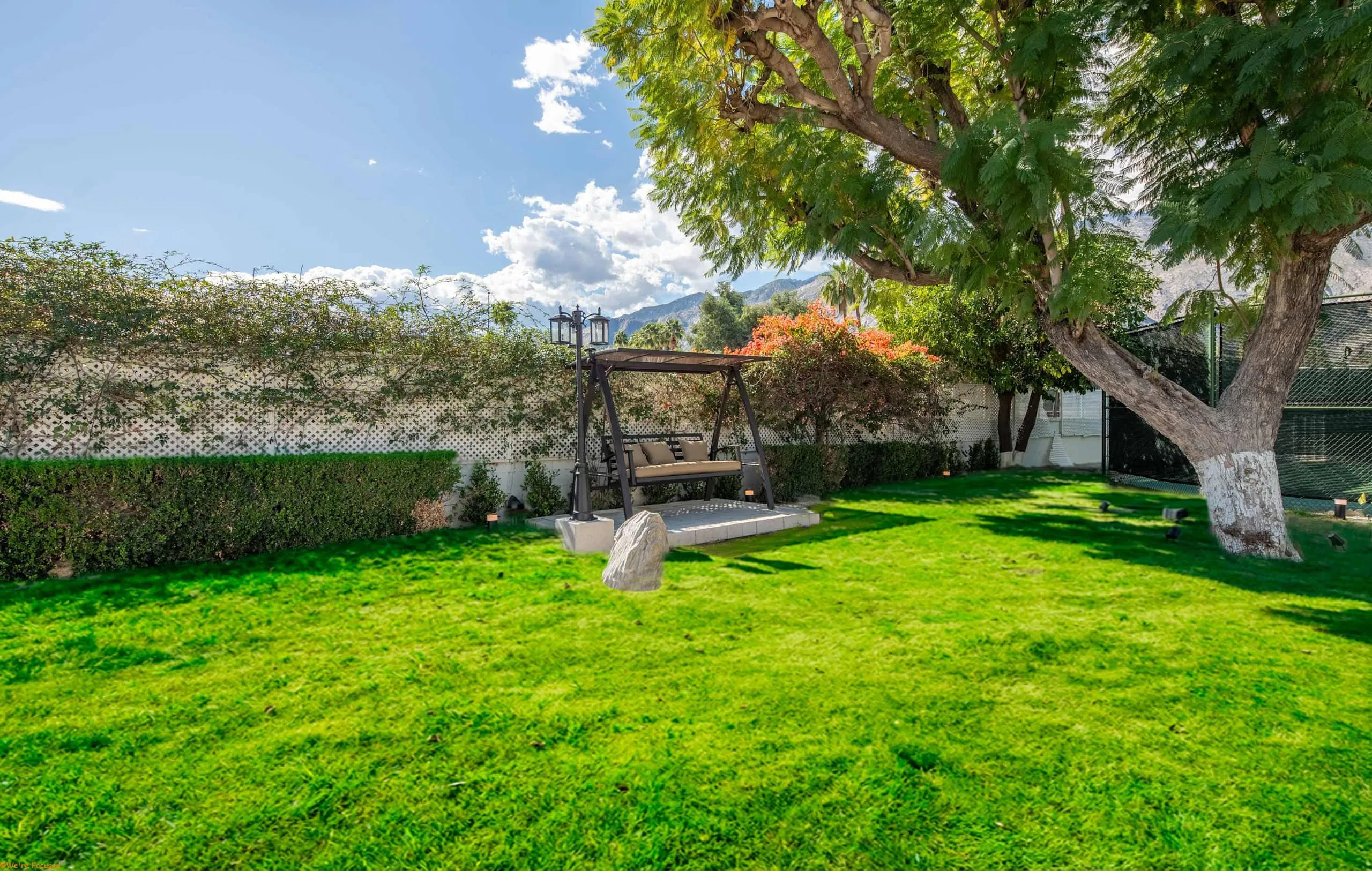 A hanging swing seat on the lawn under a broad tree, the mountains beyond the hedge.