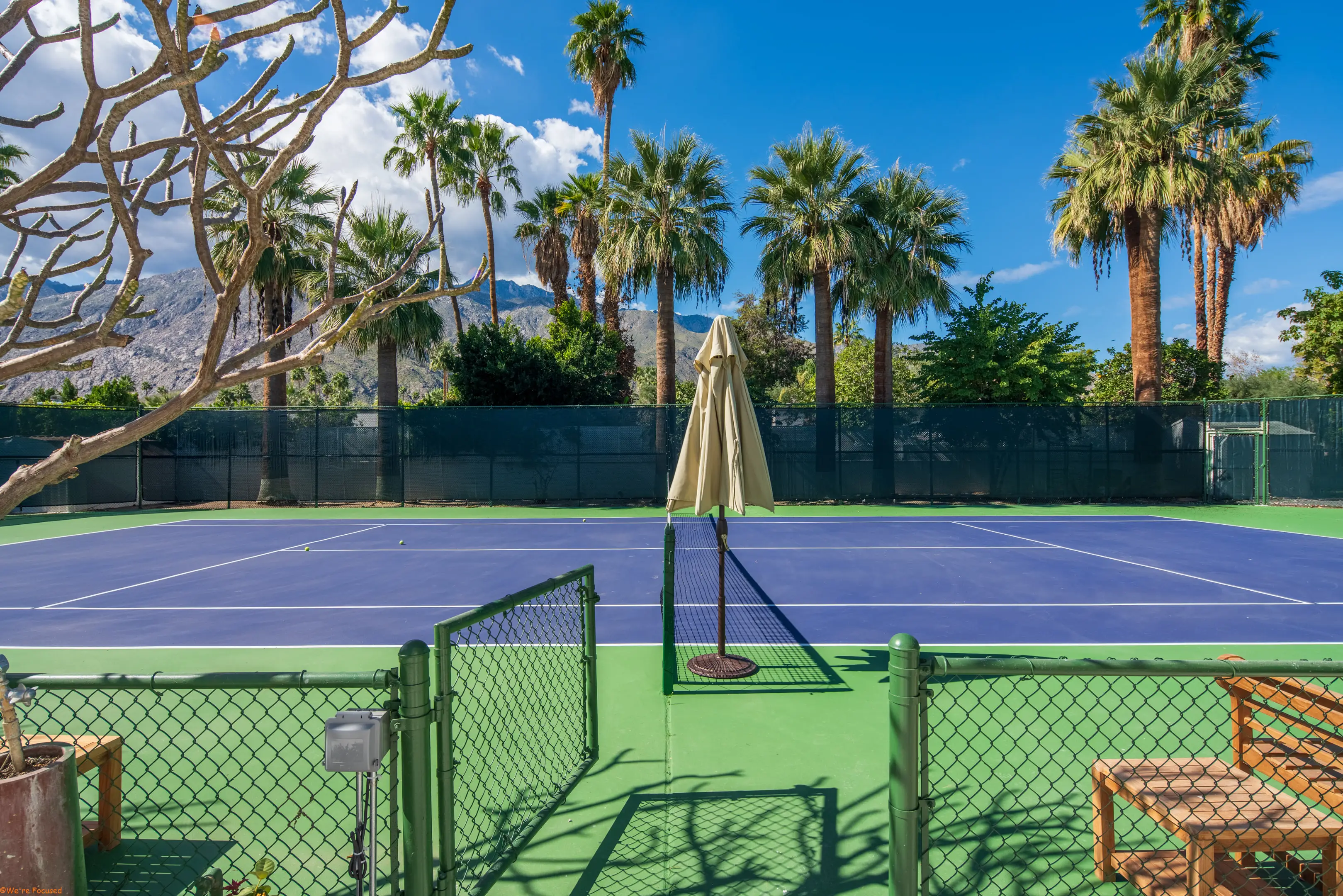 The tennis court seen over its fence, with palms and the mountains behind.